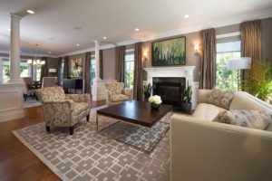 Living Room Interior Design